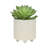 S/2 6/8" TEXTURED PLANTERS-39849595