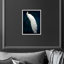 Habillé de plumes - impression-119403334-72500298-72500307