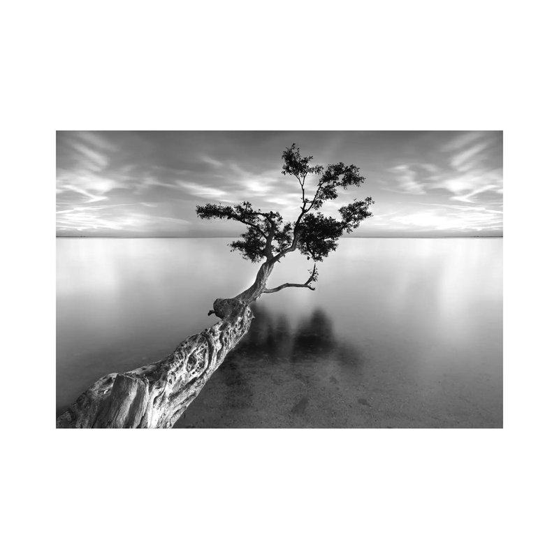 Moises Levy by Moises Levy - Wrapped Canvas Gallery-Wrapped Canvas Giclée, 30.48cm H x 45.72cm W