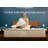 Bear Natural Latex Mattress-120596618
