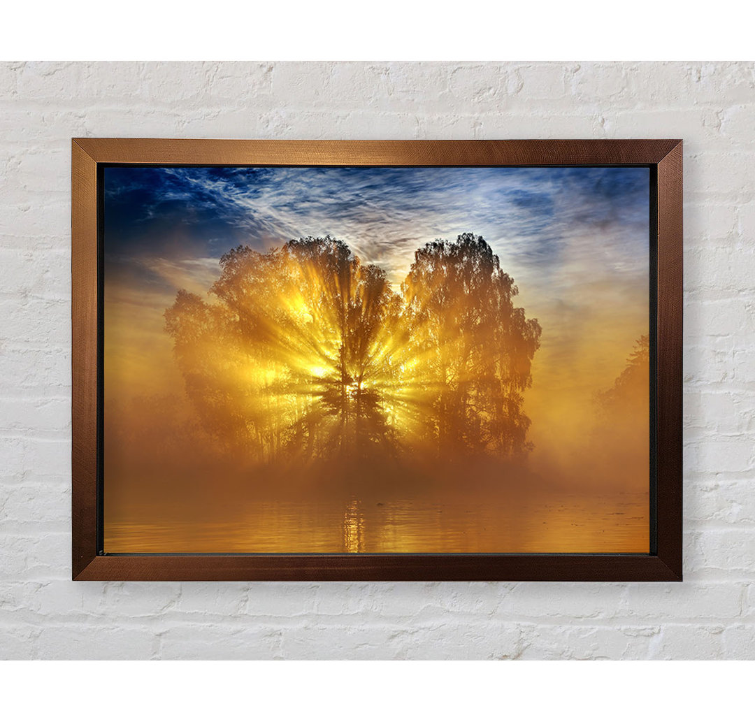 Golden Sunburst Tree - Einzelner Bilderrahmen Kunstdrucke