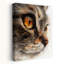 Art mural Intense Feline Gaze-129148033