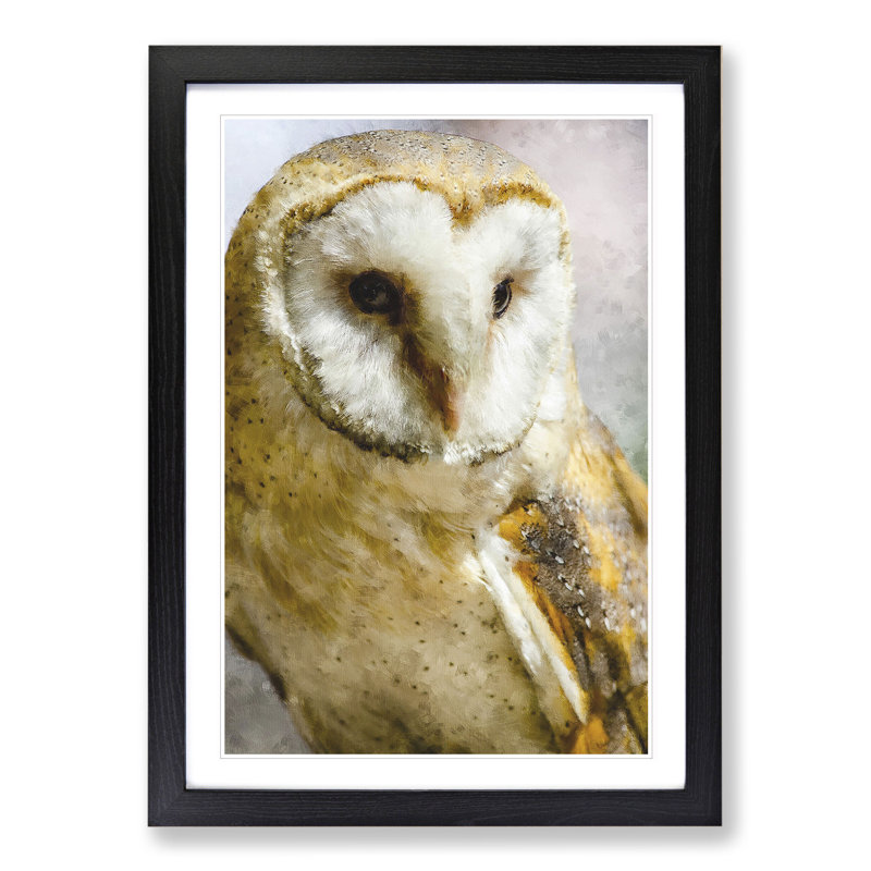Barn Owl Vol.2 - Picture Frame Painting, Black Framed, 48cm H x 36cm W x 2cm D