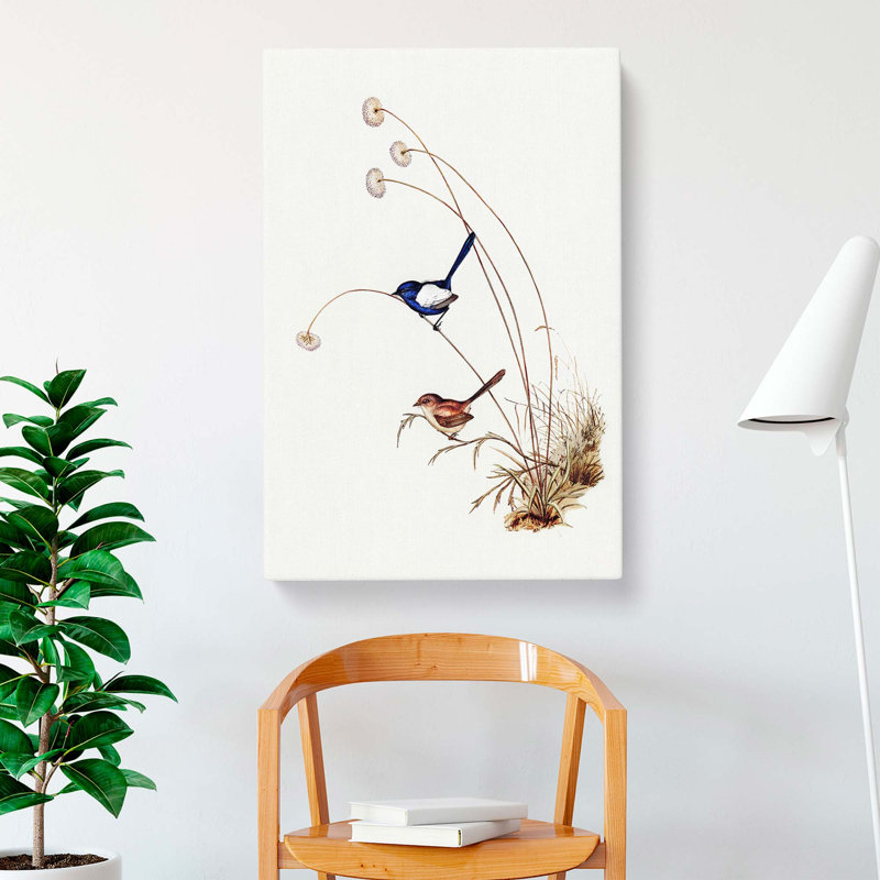 White Winged Wren by Elizabeth Gould - Wrapped Canvas Painting, 60cm H x 40cm W x 3cm D