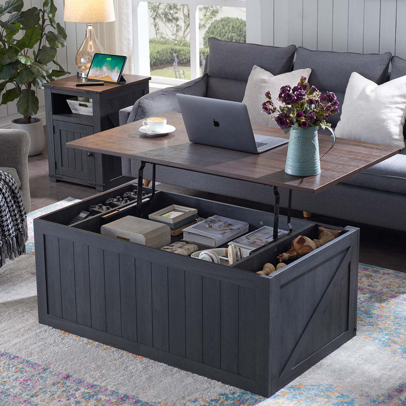 Vianor  48” Lift Top Coffee Table with Storage, Dark Gray