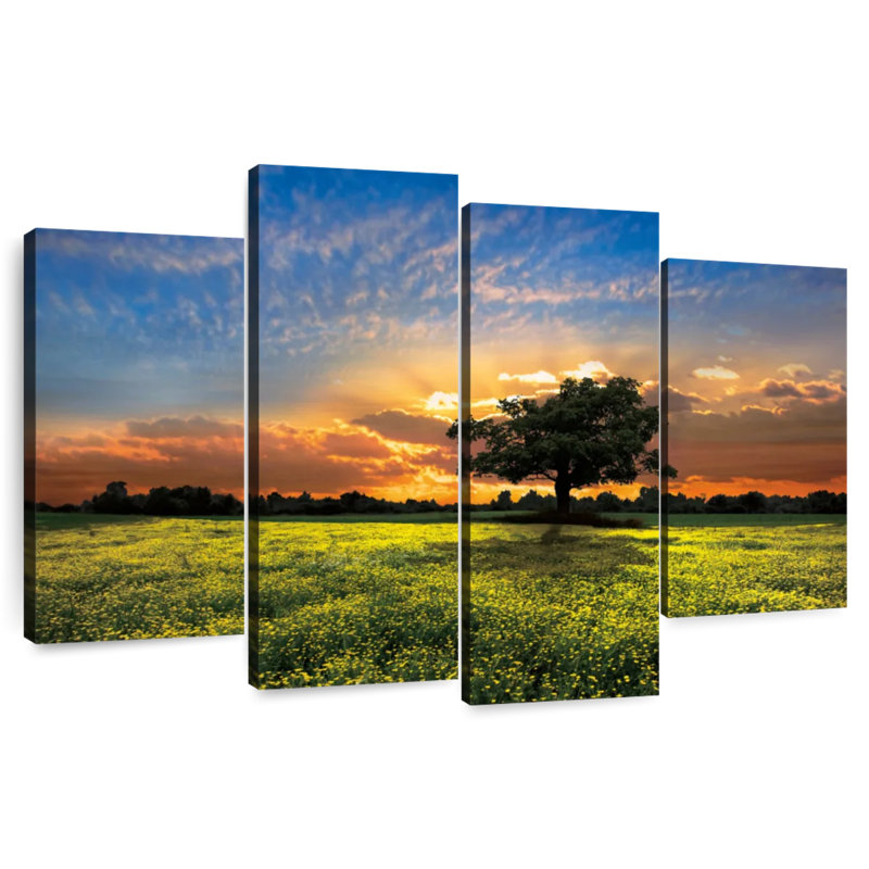 Alvord Shadows au coucher du soleil, H 32 po x l 52 po