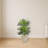 Paradise Palm Artificial Tree in Sand Colored Planter