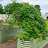 17" Tall 9 In 1 Modular Metal Outdoor Raised Garden Bed-656262718