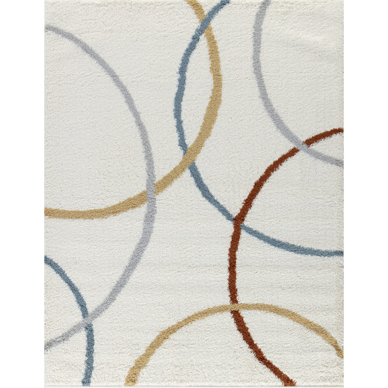 Shaggy Area Rug