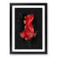 Red Siamese Fighting Fish - Picture Frame Graphic Art Print-56857370-56857371