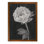 «Black and White Flowers II» par Paul Cezanne - reproduction d'art encadrée