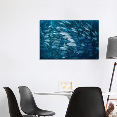 A Massive School Of Bigeye Trevally Near Cocos Island by Ethan Daniels - Wrapped Canvas Print