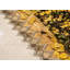Tapis de couloir en jacquard blanc Petrosky-1561736797