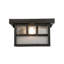 1 - Light Flush Mount