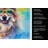 Keeshond Hippie Dawg Kitchen Towel