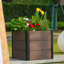 Planter-224597121