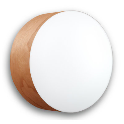 Gea 1 - Light Flush Mounted Sconce