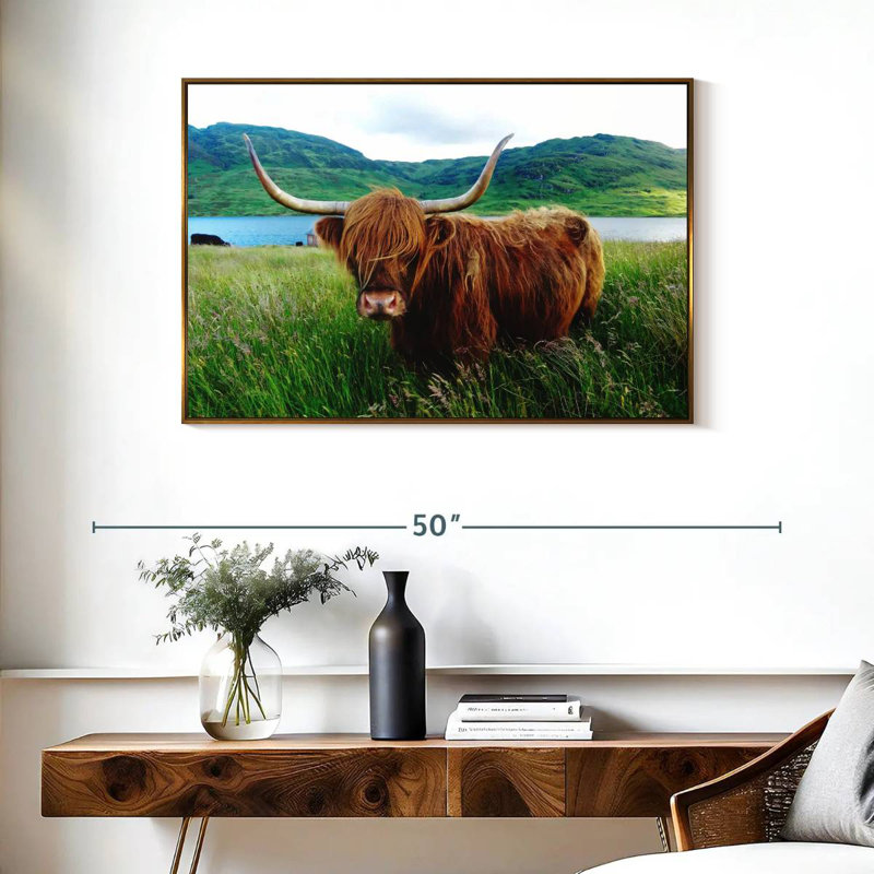 Vache Highland, Cadre flottant doré, 37 po x 25 po