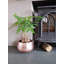 Shawnda Metal Pot Planter