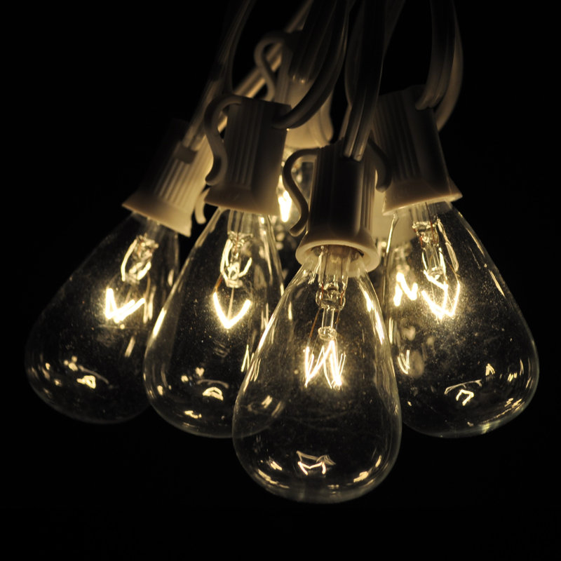 Edison String Lights Outdoor 25 - Bulb 25'' Plug-in String Light, White