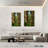 Harnek Roadside Rainbow Eucalyptus-108543844