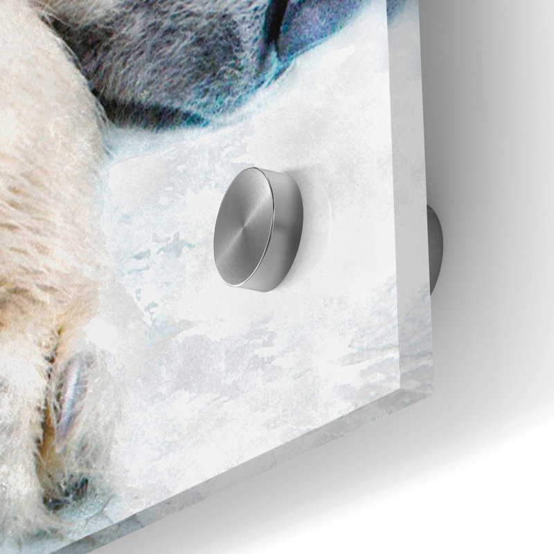 "Sleepy Polar" par Murray Henderson Fine Art, H 24 po x l 48 po