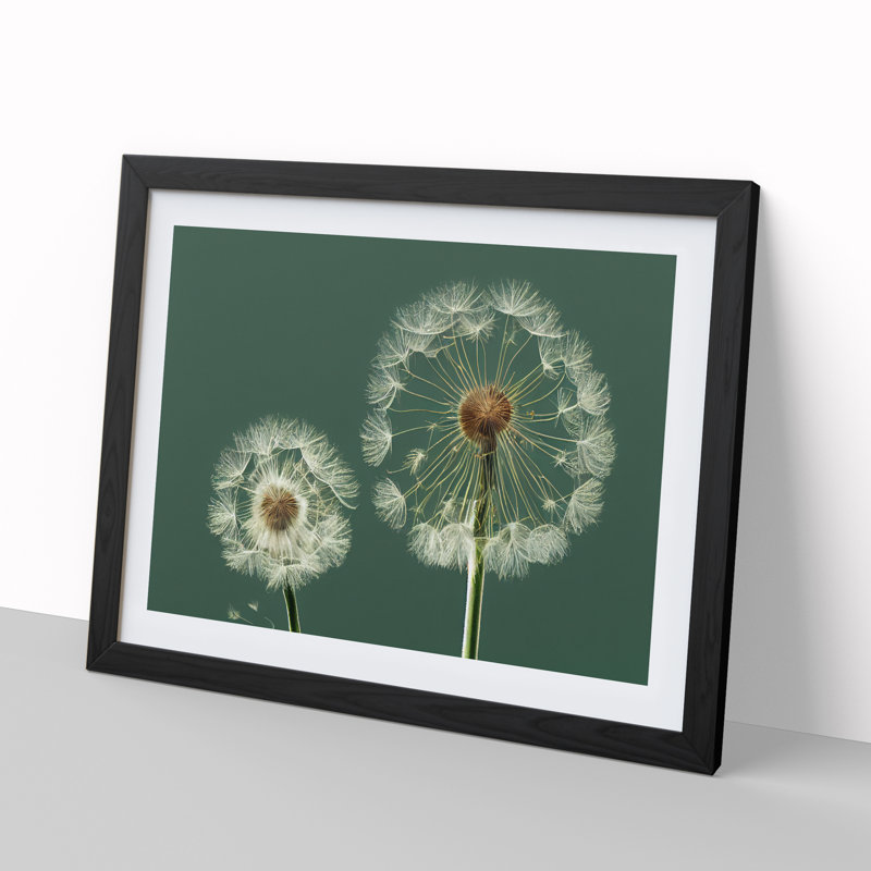 Ethereal Dandelion Flowers - Single Picture Frame Print, 25cm H x 34cm W x 2cm D, Black