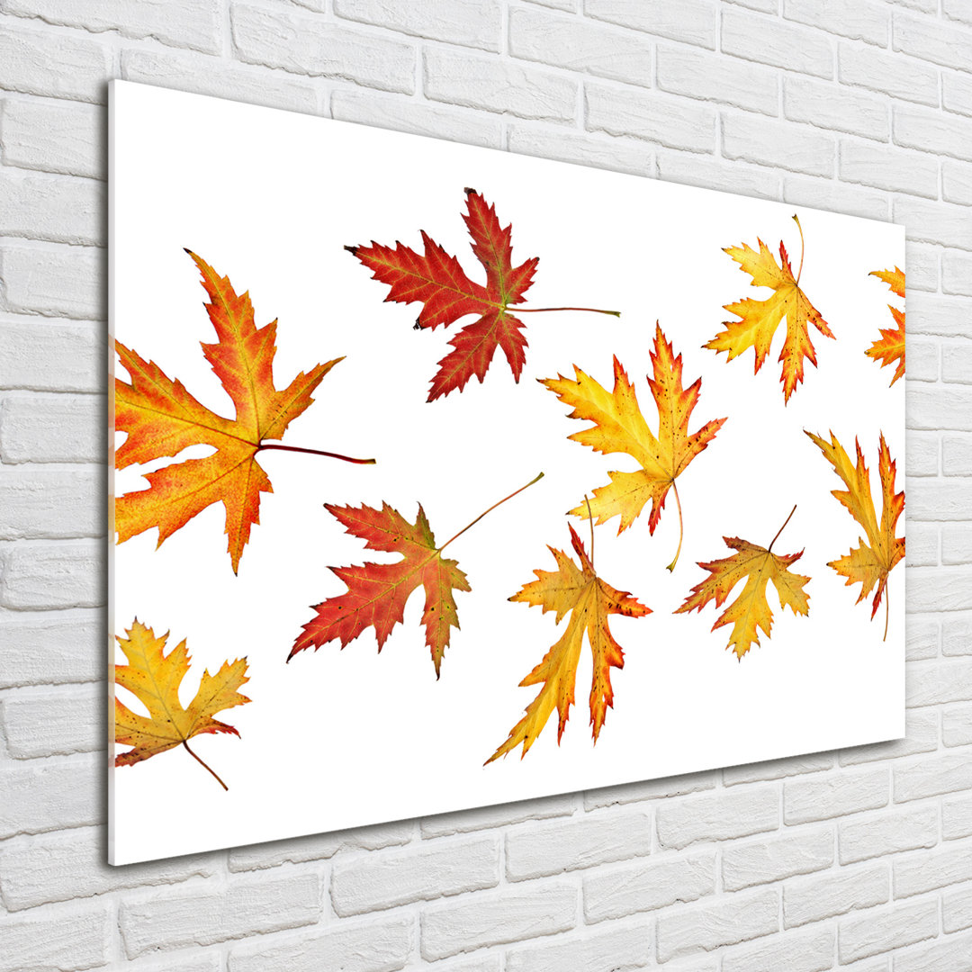 Glasbild Autumn Leaves