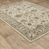 Caryll Oriental Indoor Rug