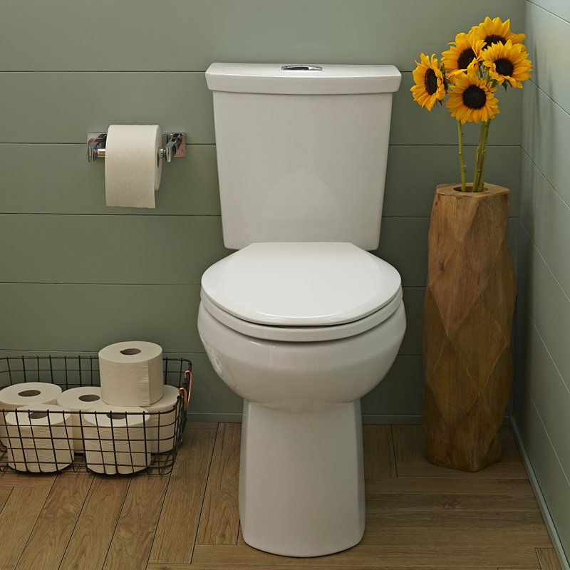 White Vitreous China Dual Flush Elongated Two-Piece Toilet