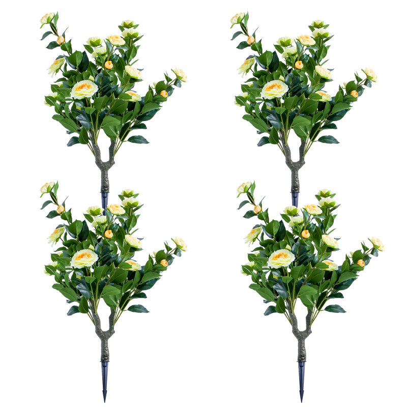 90cm Plant