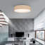 Parvin Flush Mount-1597111236-1597111237