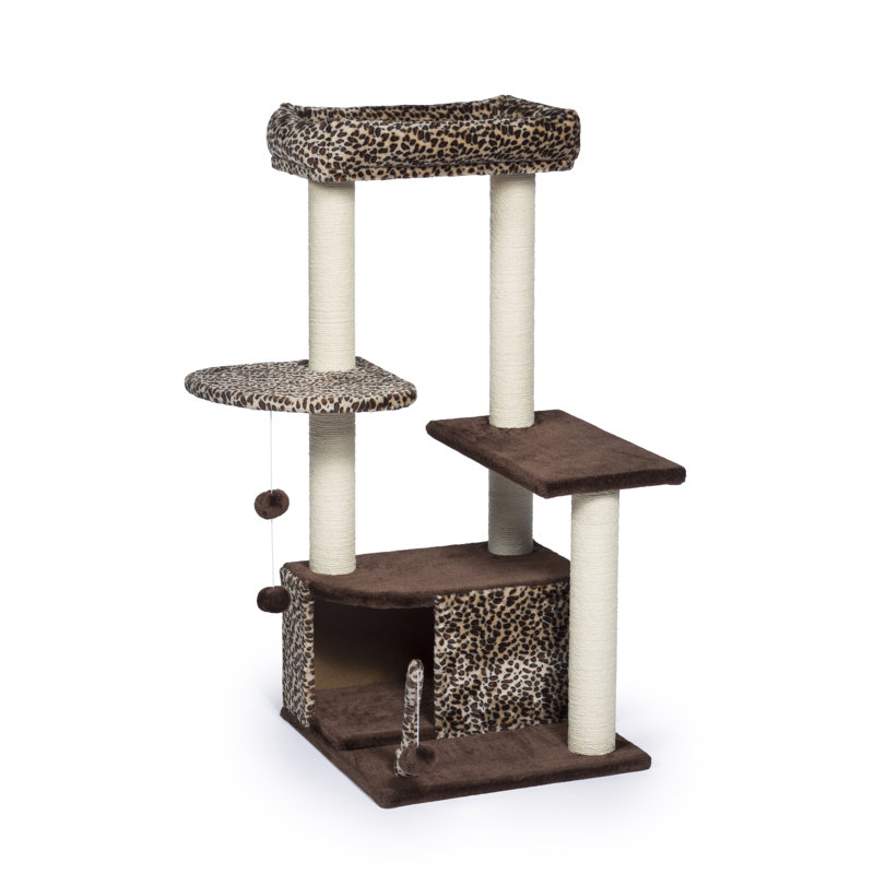 Borrego 43'' H Cat Tree