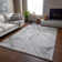 Premium Machine Washable Cerrito AMF516 Gray Rug