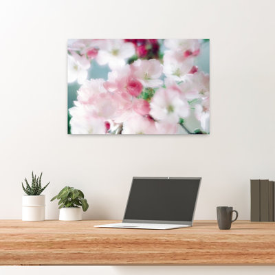 Fleurs de cerisier, gros plan, vue abstraite, art contemporain de fleurs de cerisier