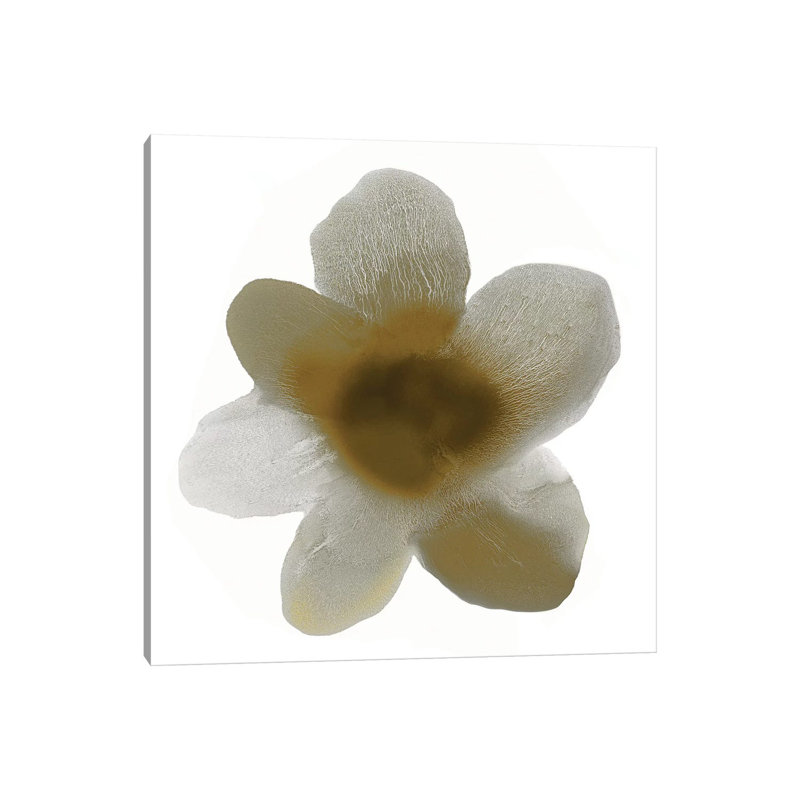Taupe Bloom I by Hannah Carlson - Wrapped Canvas Gallery-Wrapped Canvas Giclée, 30.48 cm H x 30.48 cm W