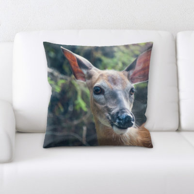 Weingartner Microsuede Throw Pillow