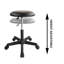 Tabouret de laboratoire à hauteur ajustable Rolling