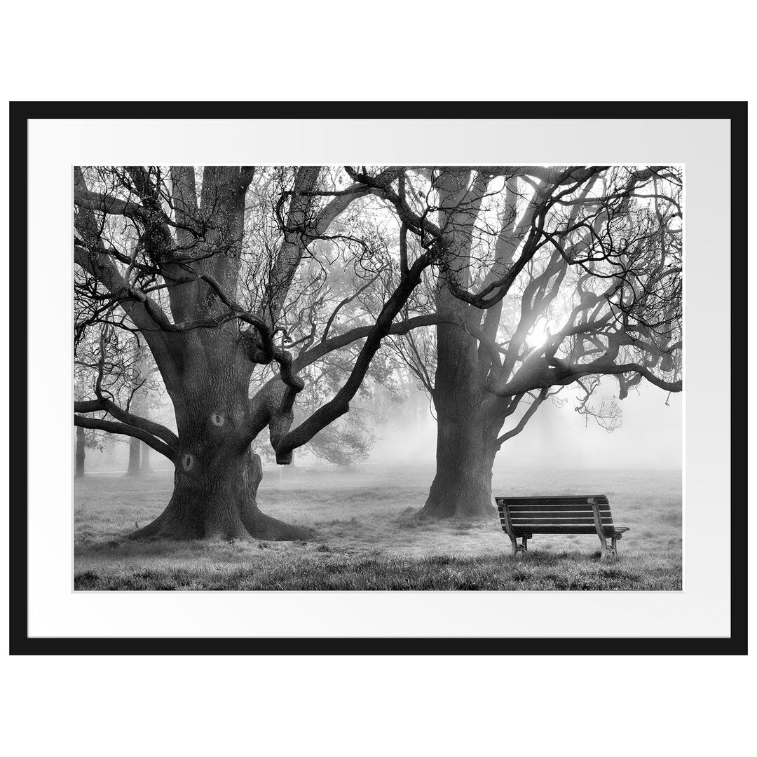 Gerahmtes Poster Baum und Bank im Nebel