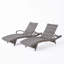 Chaise longue d'extérieur (ensemble de 2)