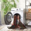 Tapis performance Sud-ouest lavable à la machine Avondale-1488396500