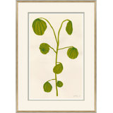 Fruity I Giclee Print by Susan Hable