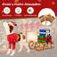 Boîte de Noël et traîneau pour chien