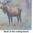 Moose Glass Cutting Board Large
