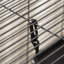 Small Animal Cage