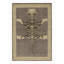 Distressed Homage Hand Knotted Wool Animal Print Area Rug-1725048820