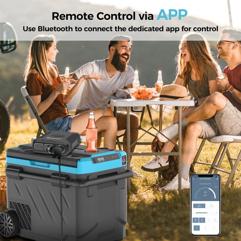 Renogy 53 Quarts Ice Chest with wheels in Black