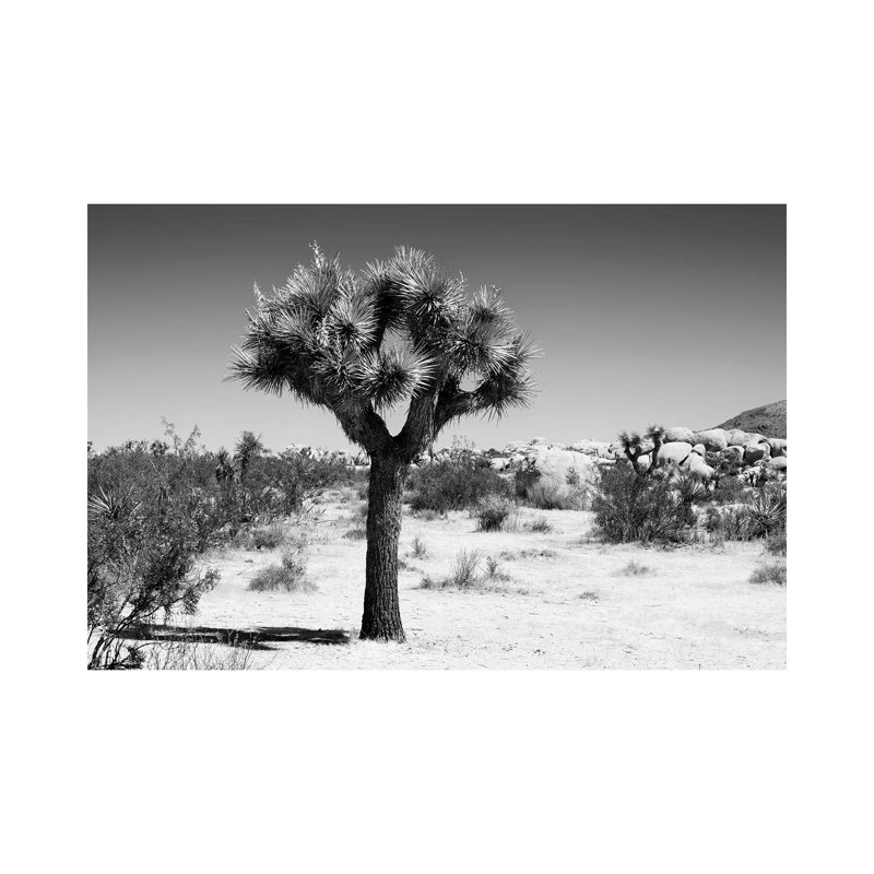 The Joshua Tree II by Philippe Hugonnard - Wrapped Canvas Print, 101.6 cm H x 66.04 cm W x 1.91 cm D
