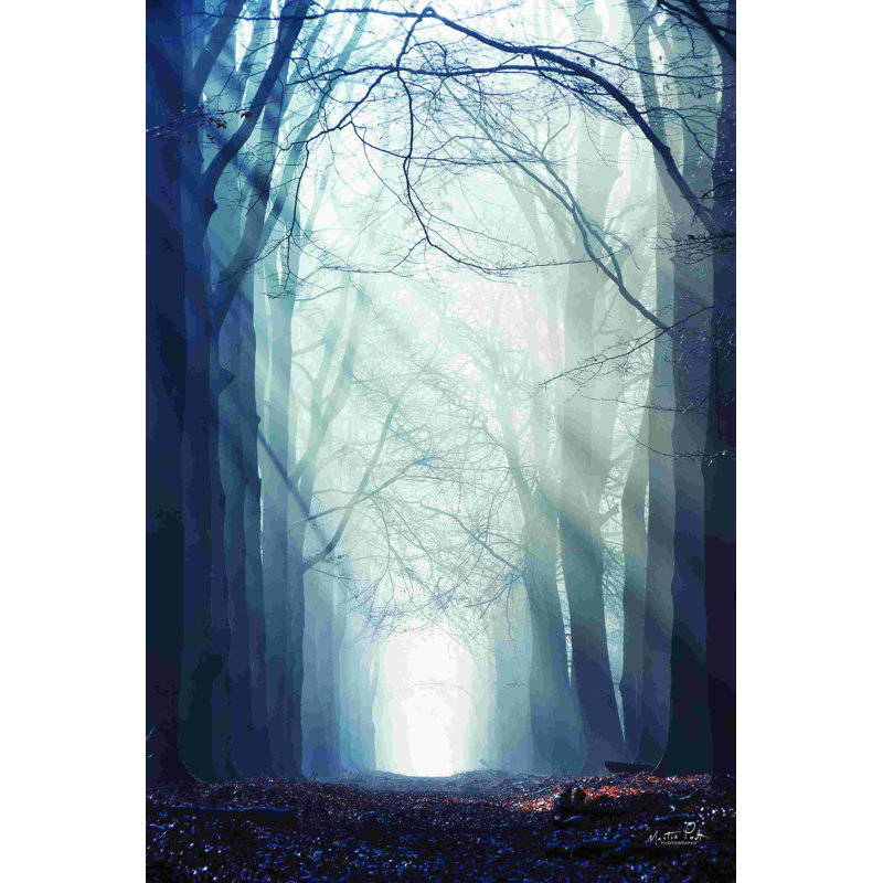 Aveuglé par les lumières, H 18 po x l 12 po