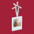 3.5'' Stainless Steel Holiday Shaped Ornament